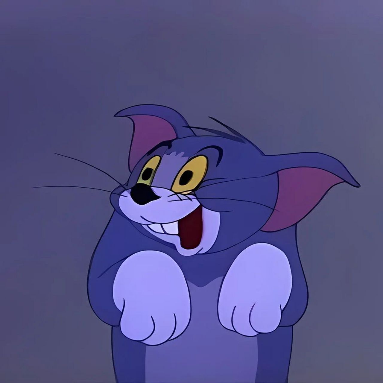 猫和老鼠头像  "那就做野花随风起永不散"#宝藏作者创作企划3