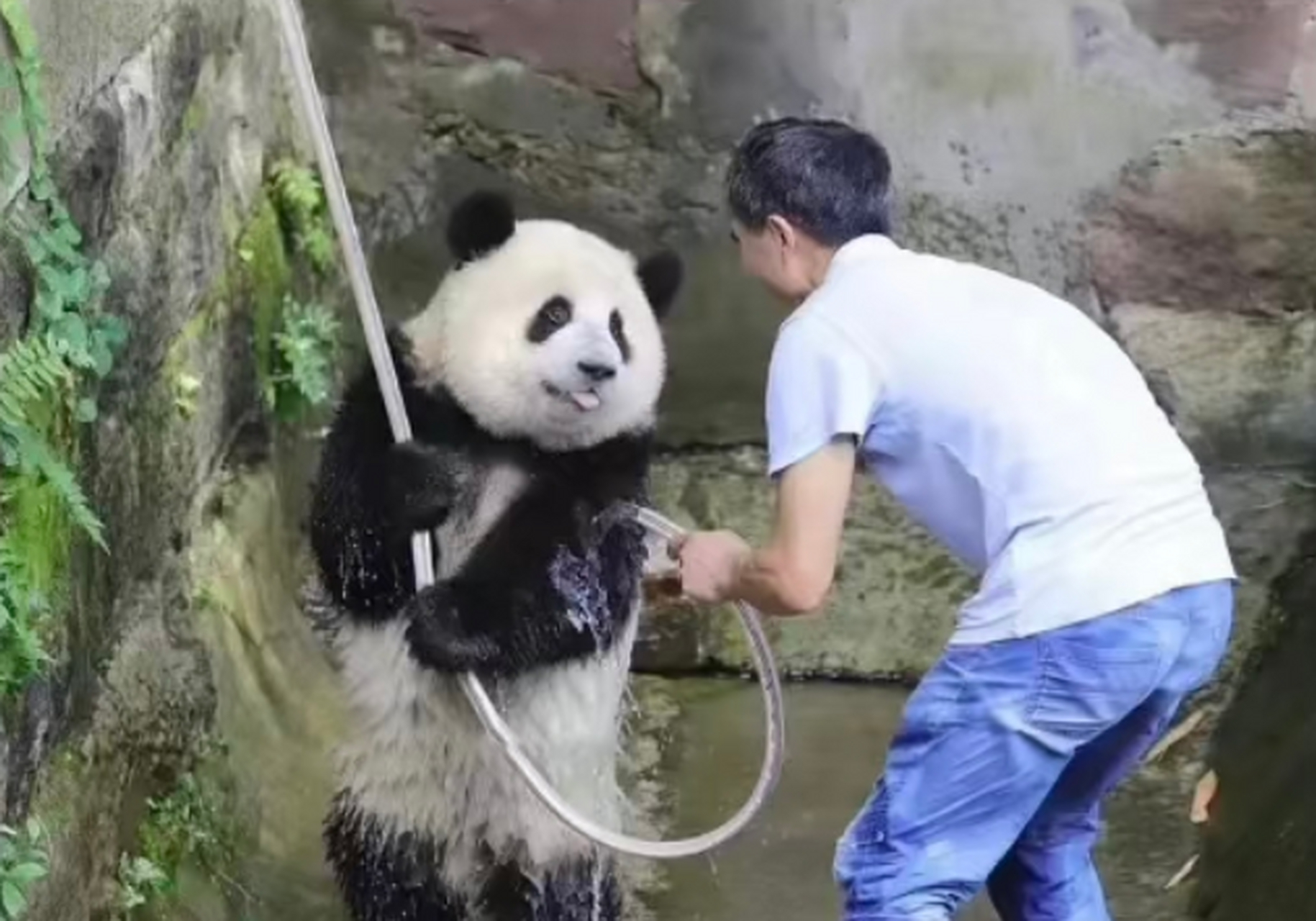 你羞羞答答的个啥呢,瞧你那熊样