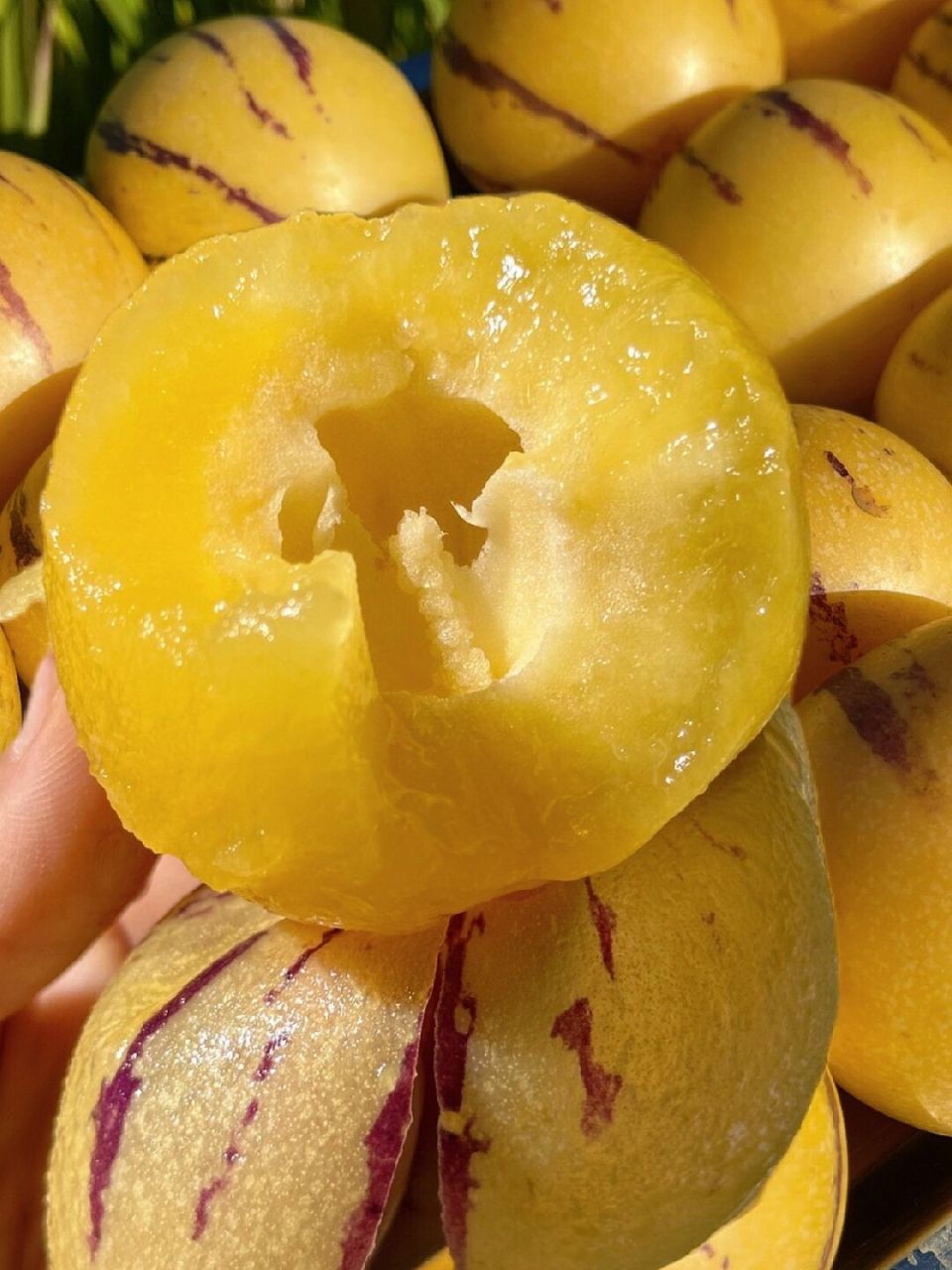 石林树熟人参果 黄色的果皮被紫色的纹路串织果皮微弹 摸上去好夏能