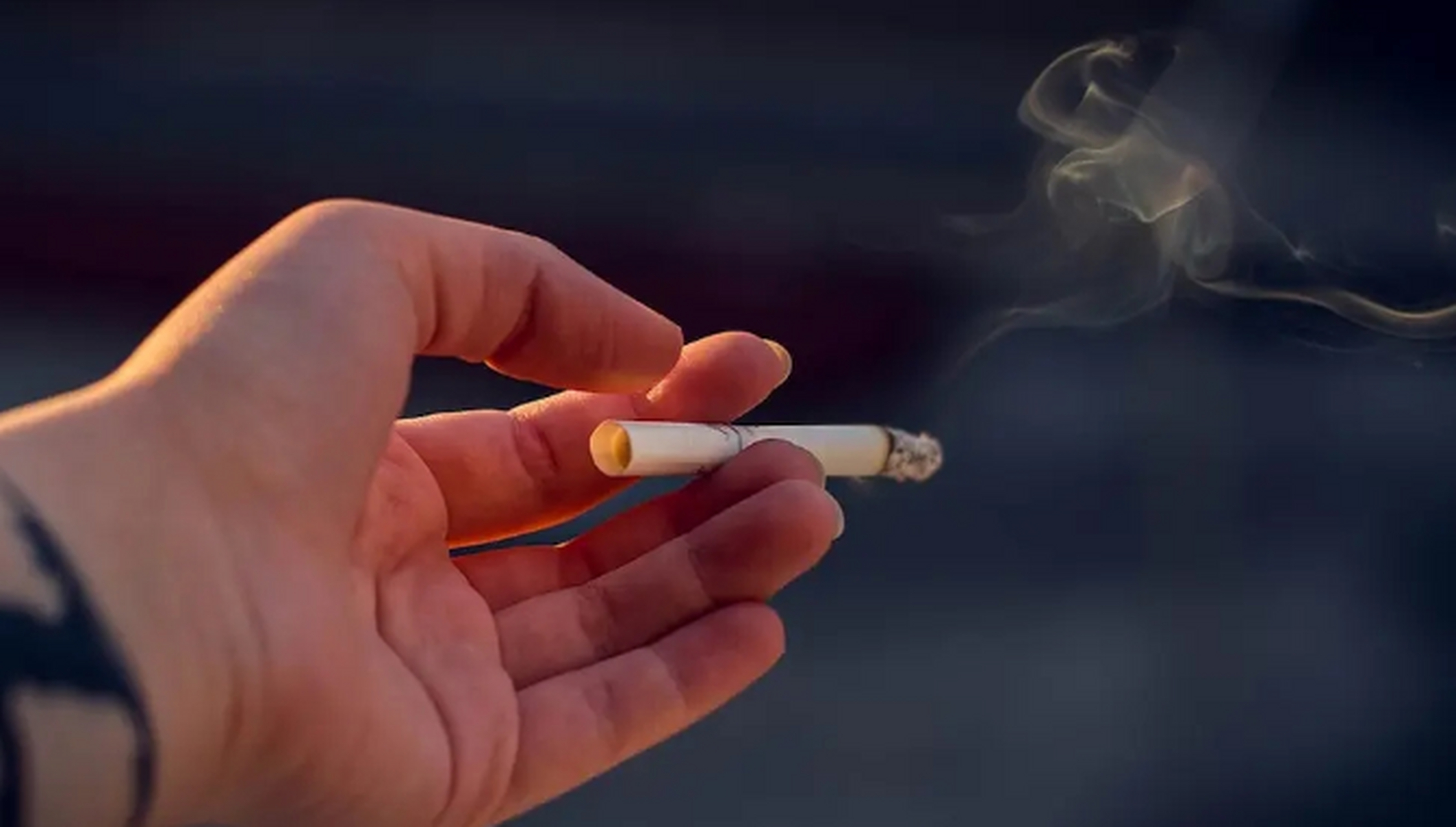 众所周知,吸入的香烟烟雾,无论你是自己吸烟还是二手烟,都对你的健康