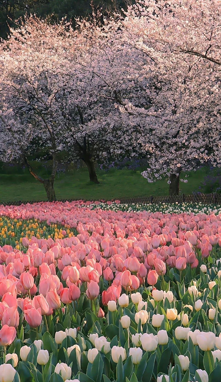 来丰富一下 好看的锁屏壁纸!