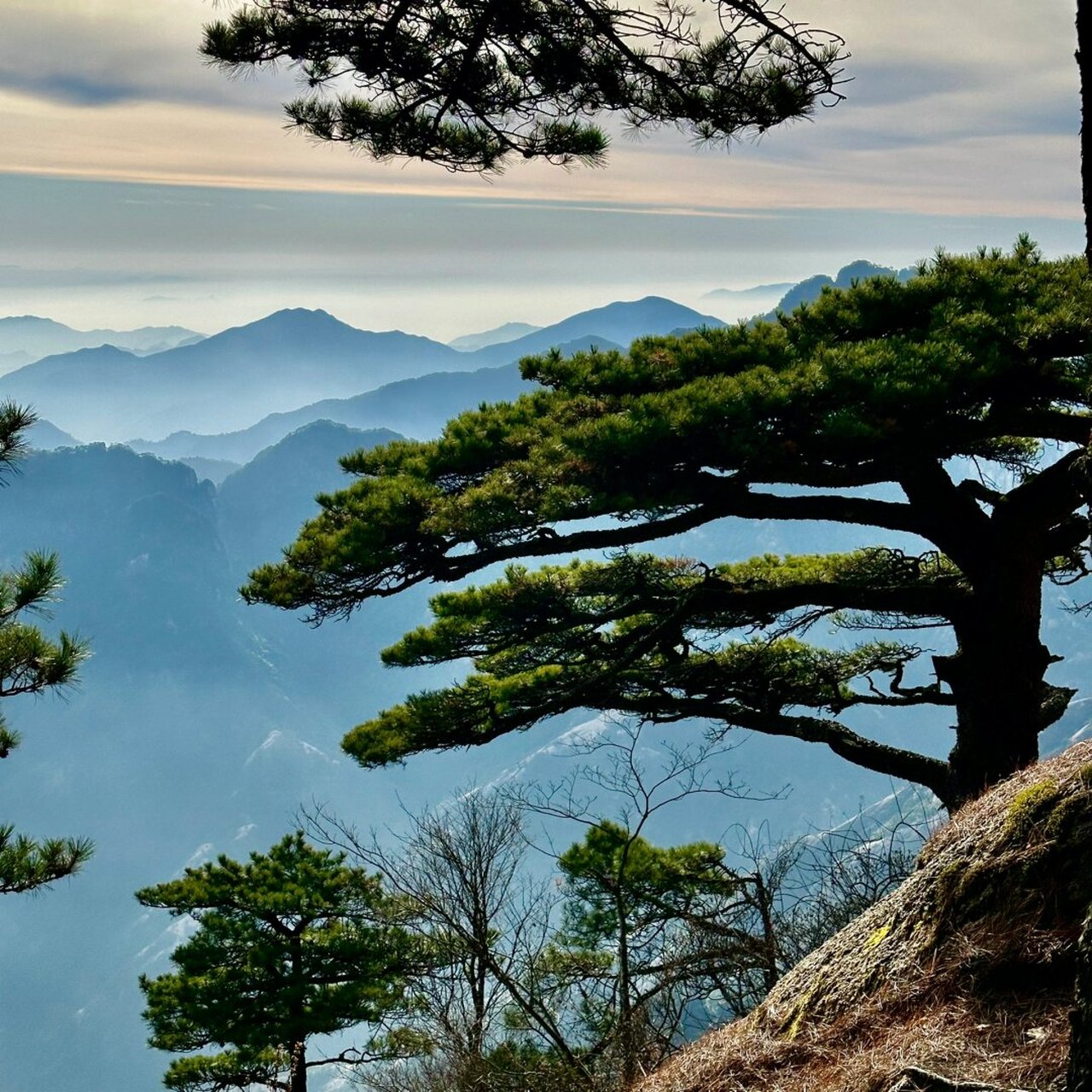 爬个黄山  黄山,中国著名的旅游胜地,以其雄伟壮观的山峰,奇特的地貌
