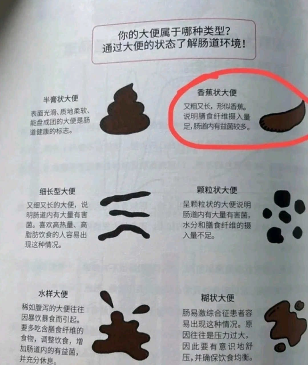 真的有人能拉出第一种形状的大便吗?