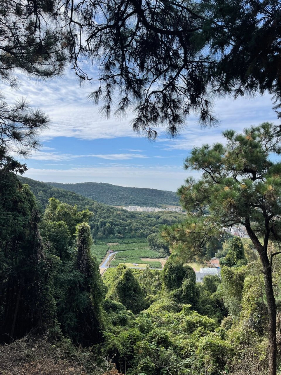 常州出发一小时,强烈安利状元古道  无锡真的是一个宝藏城市!