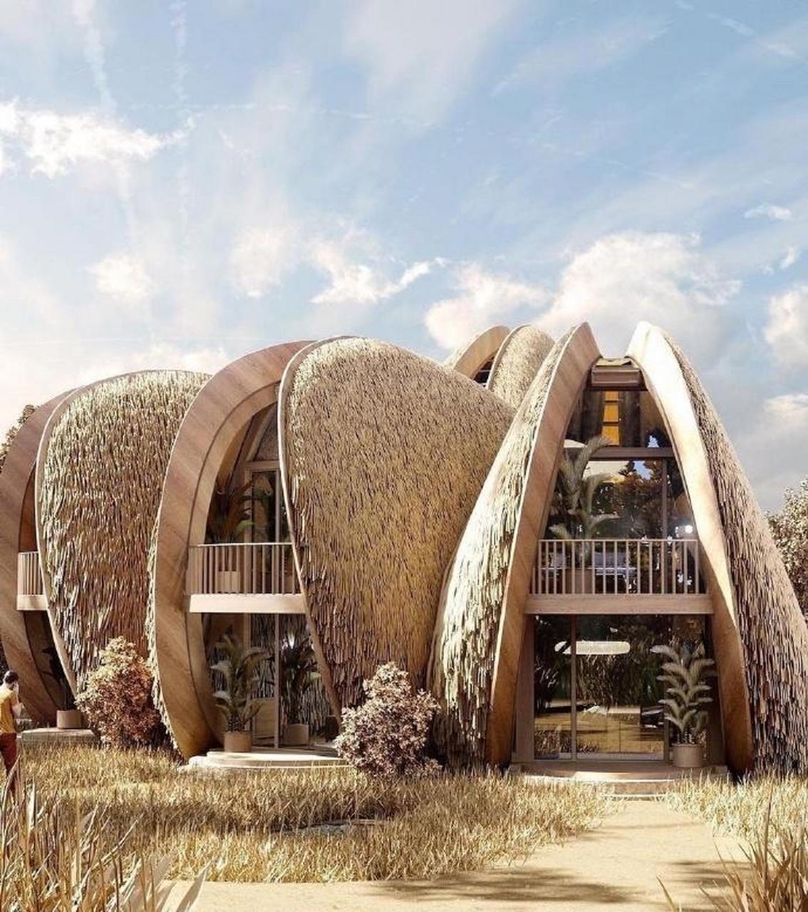 梦幻贝壳屋|简直就是社恐的福音    外国设计师的脑洞大开,回归自然的