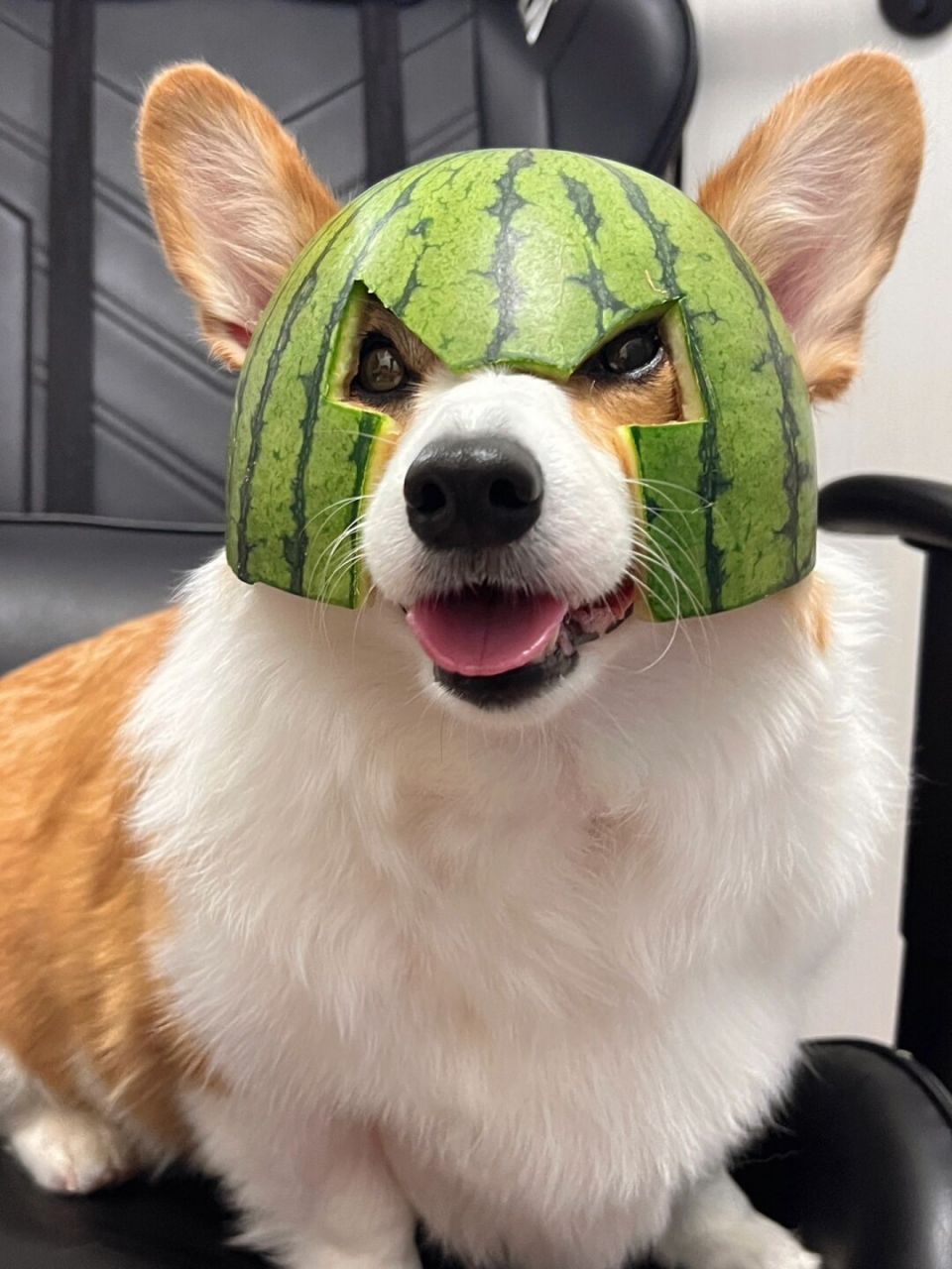 就说无不无语吧姨姨们