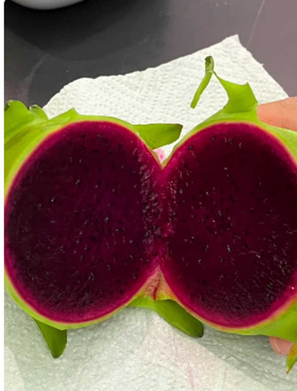 第一次见绿色火龙果