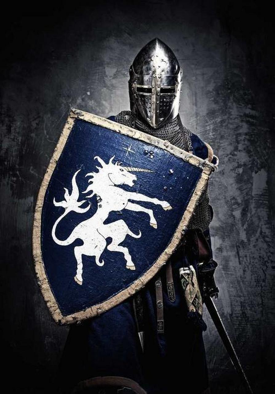 浅论欧洲中世纪骑士制度  欧洲中世纪骑士制度是一种特殊的军事组织和