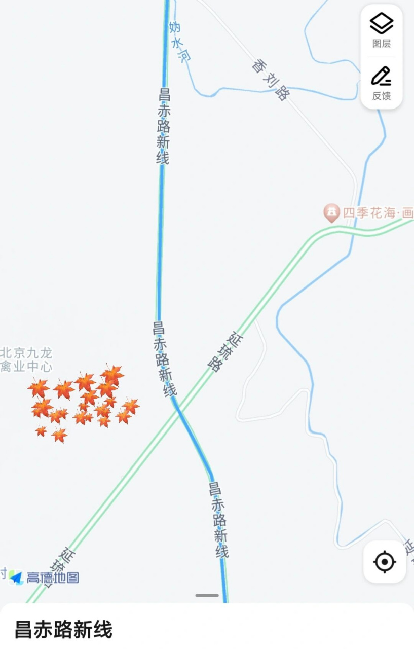 延庆这片红枫林939393红了  导航:昌赤路新线与延琉路交叉路口