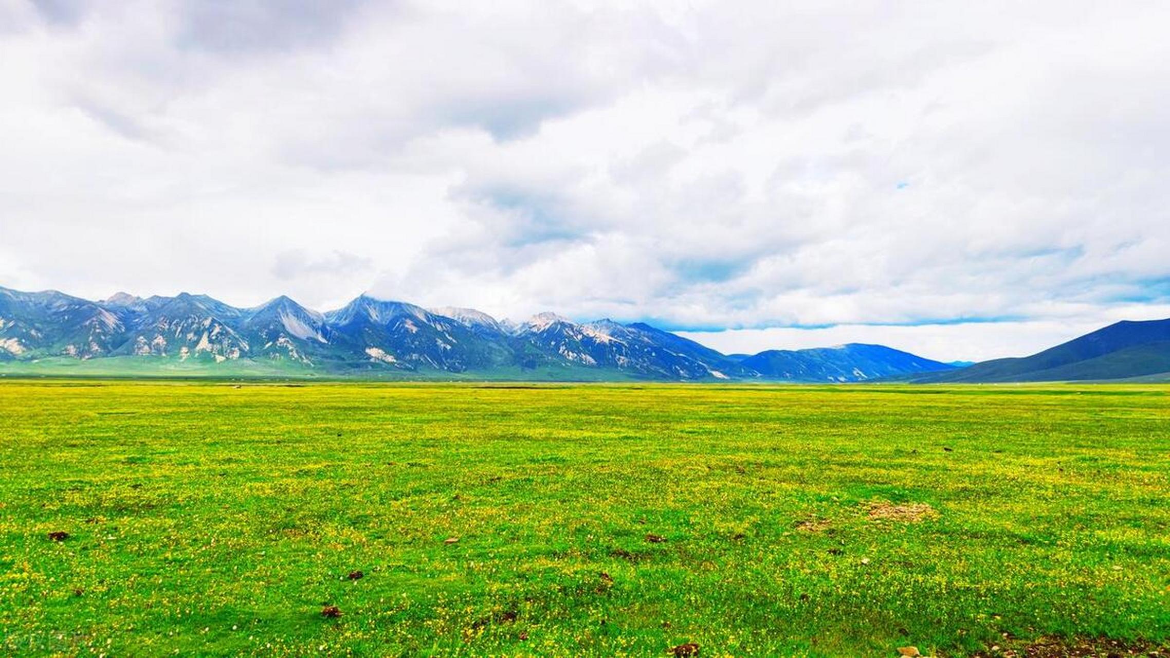 川西小众秘境i毛垭草原邂逅野生花海  02  毛垭大草原距离丁真的
