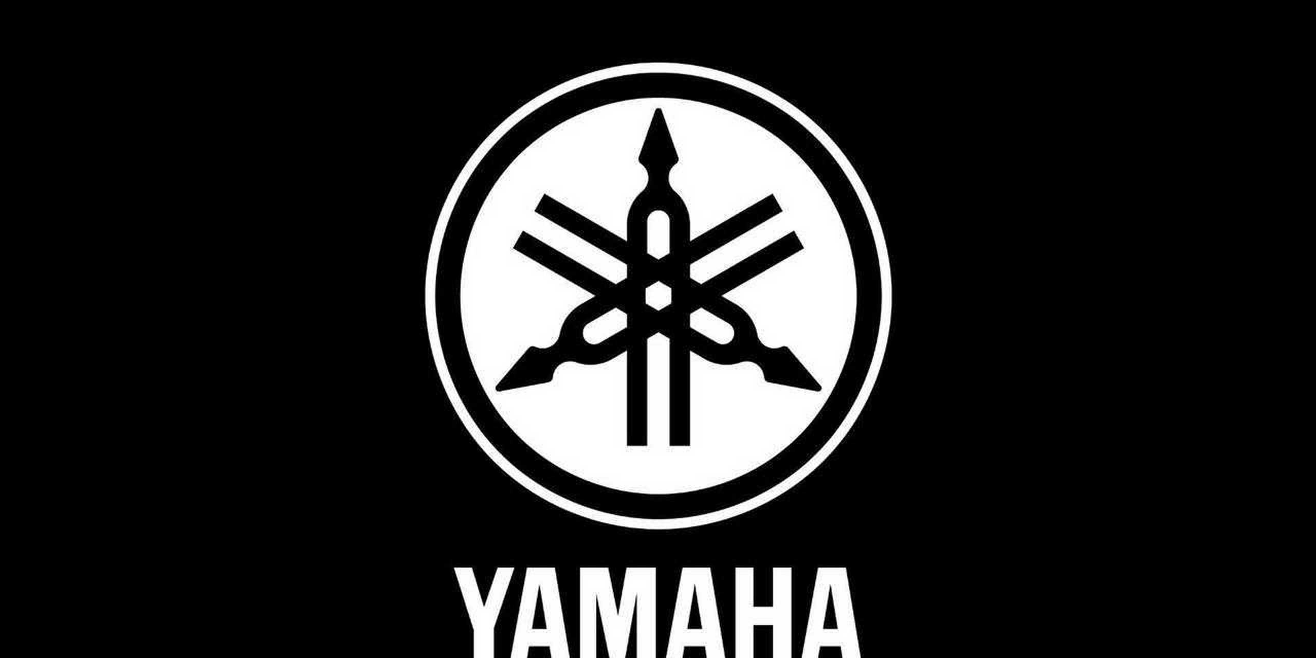 针对汽车/摩托车,雅马哈推出高功率电机,35千瓦(48马力)/200千瓦(272