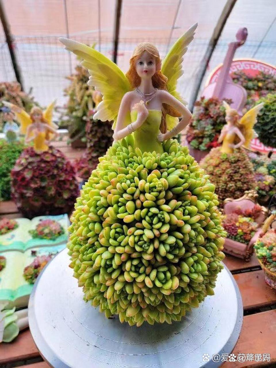 艺术品的多肉[赞同][赞同][嘘]