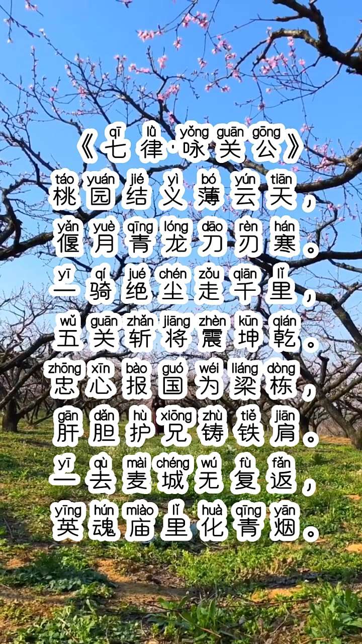 һ���������˼��ʲô��һ���������˼��ʲô���