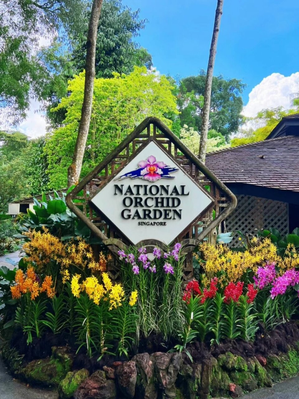 新加坡胡姬花园限时免费开放  新加坡国家胡姬花园限时免费开放,现在