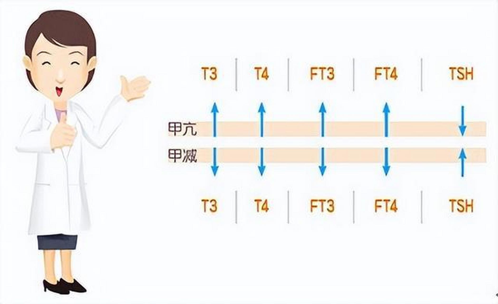 甲状腺功能5项怎么看结果?