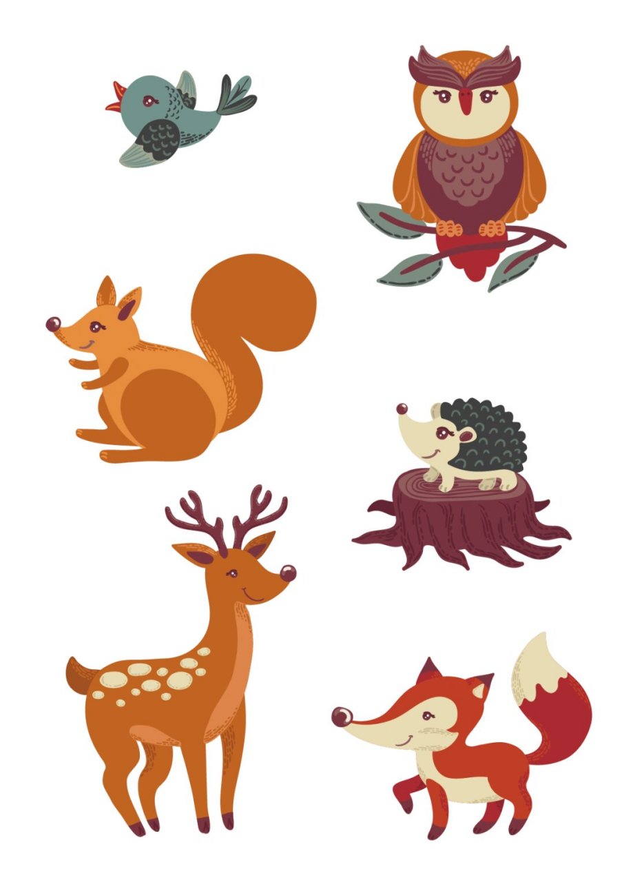 本期为大家带来了一组卡通可爱的幼儿园秋天动物环创主题合集