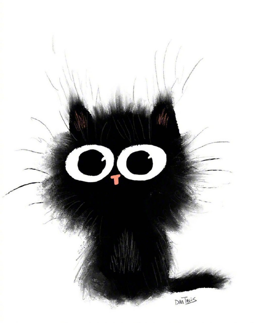 可爱小煤球  dan tavis