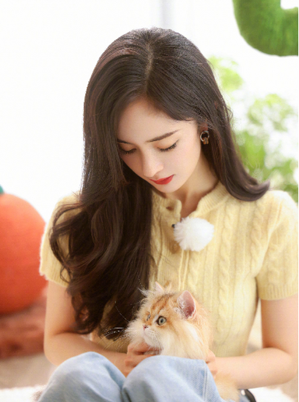 杨幂新年美照曝光 穿针织衣抱猫咪超温柔