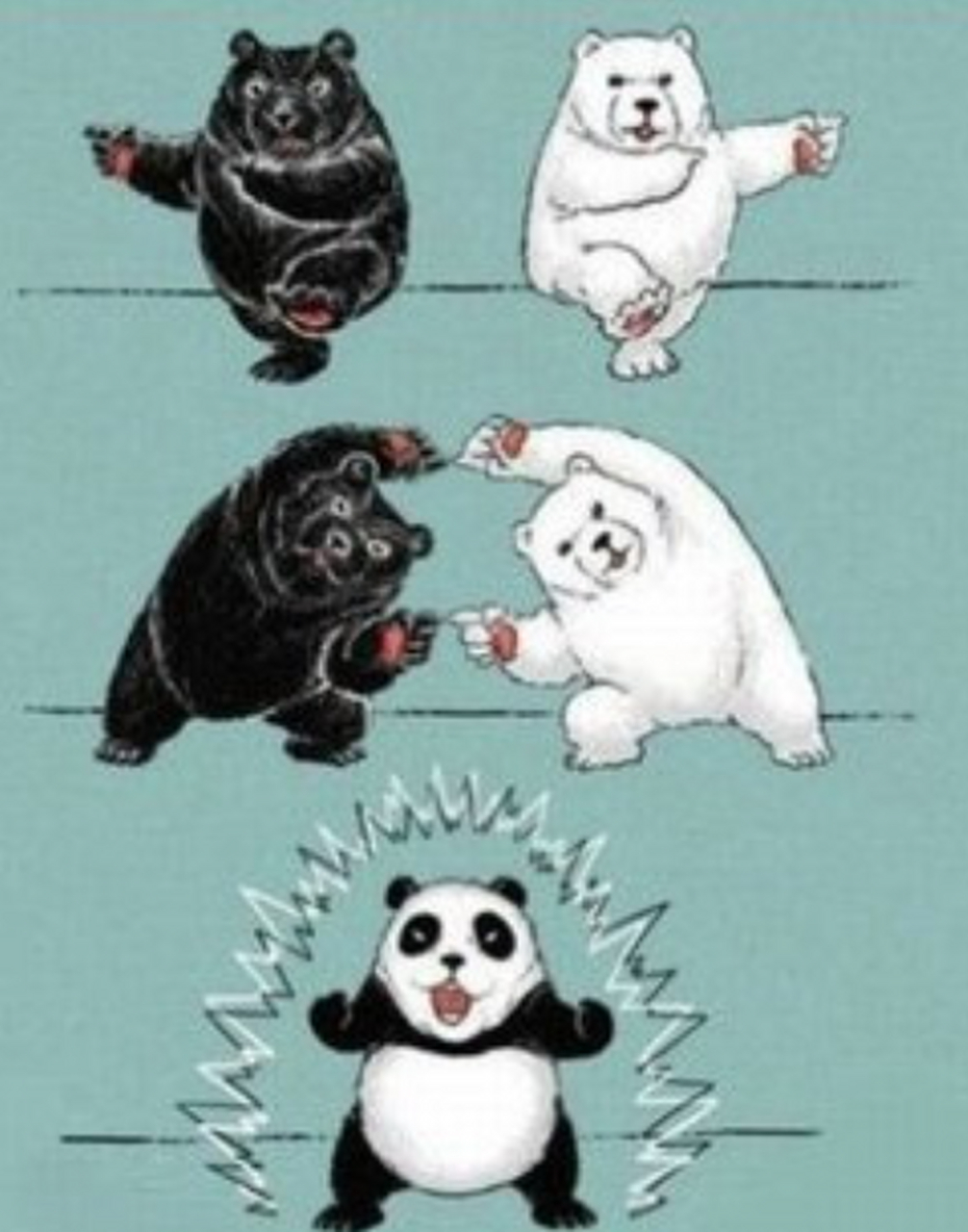 黑熊,白熊,熊猫一家合体啦!