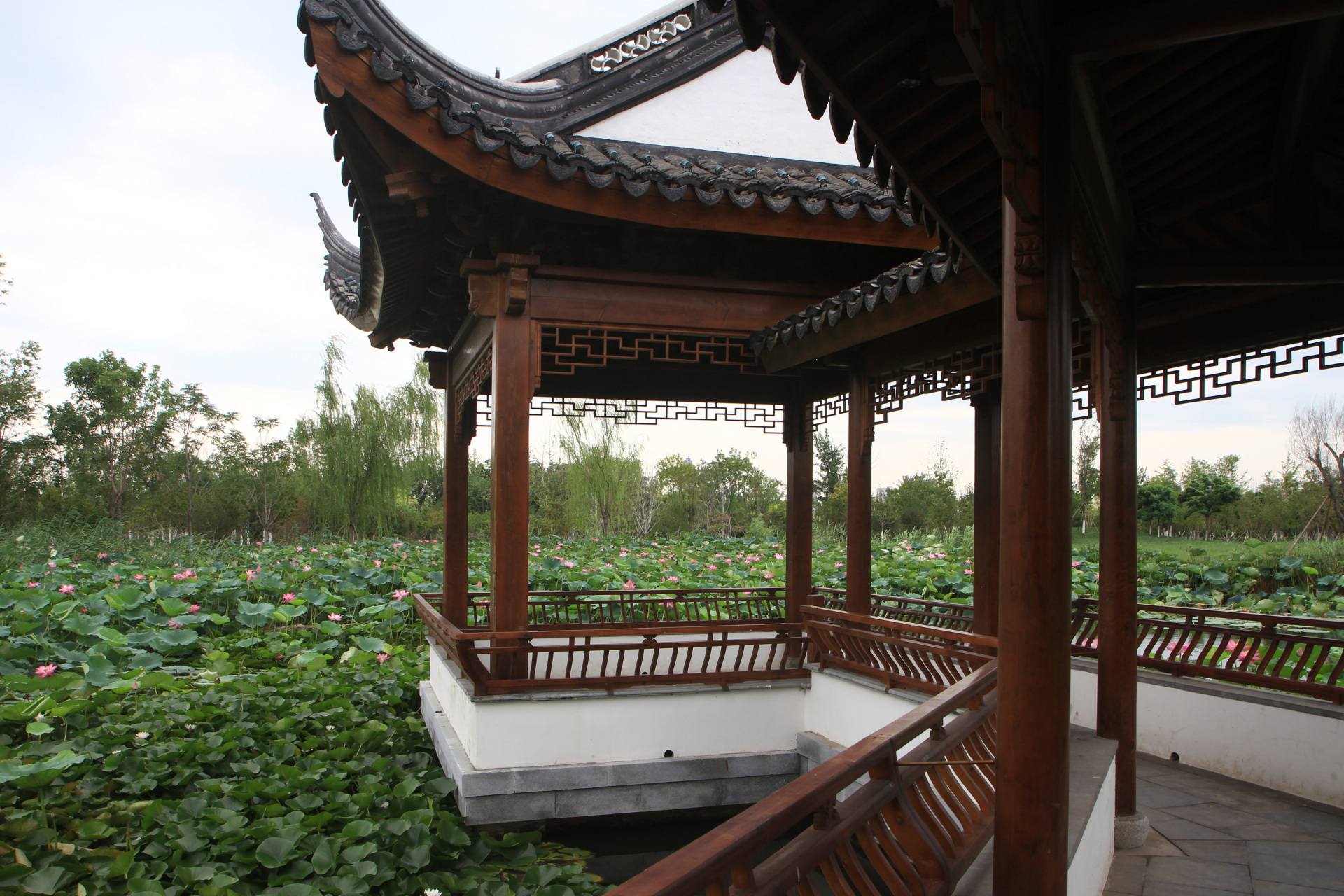 水西公园藕香榭