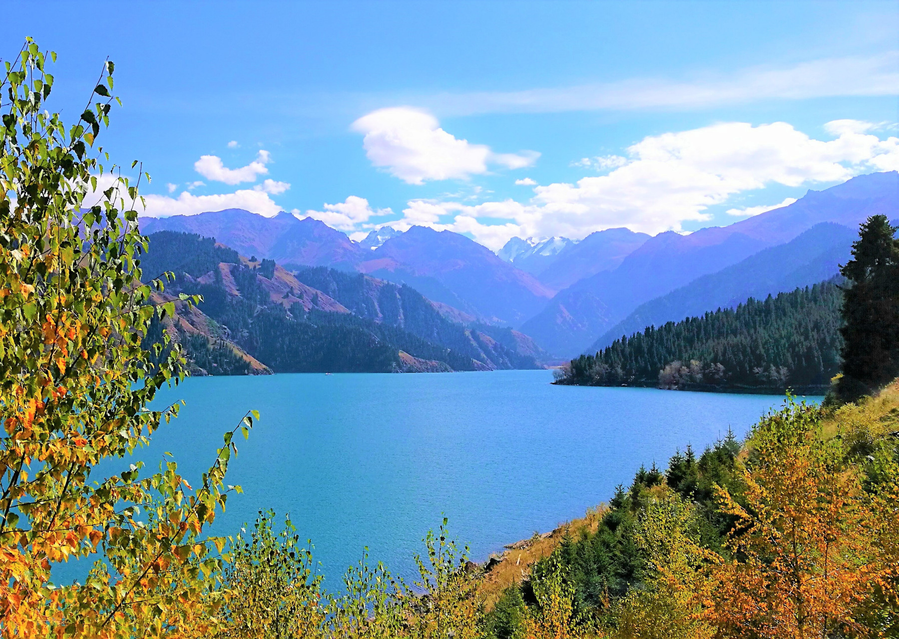 新疆天山天池雪鹤 新疆天山天池雪鹤