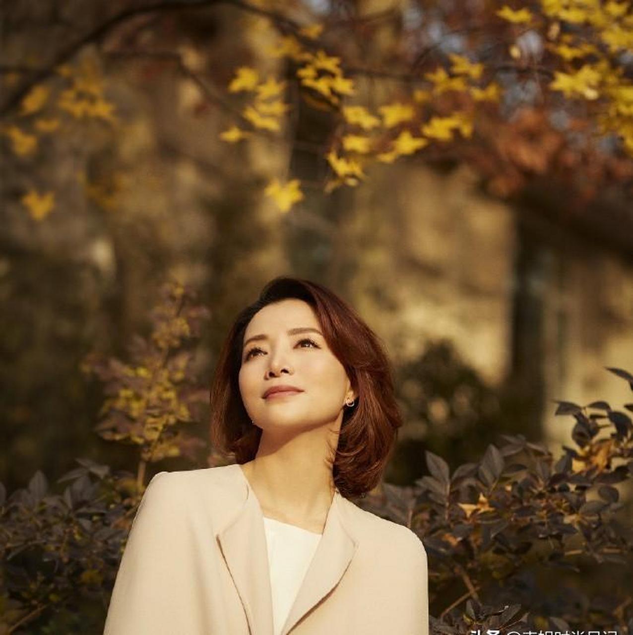 董卿,最受观众喜欢的央视女主持,她腹有诗书气自华,饱读诗书,满腹