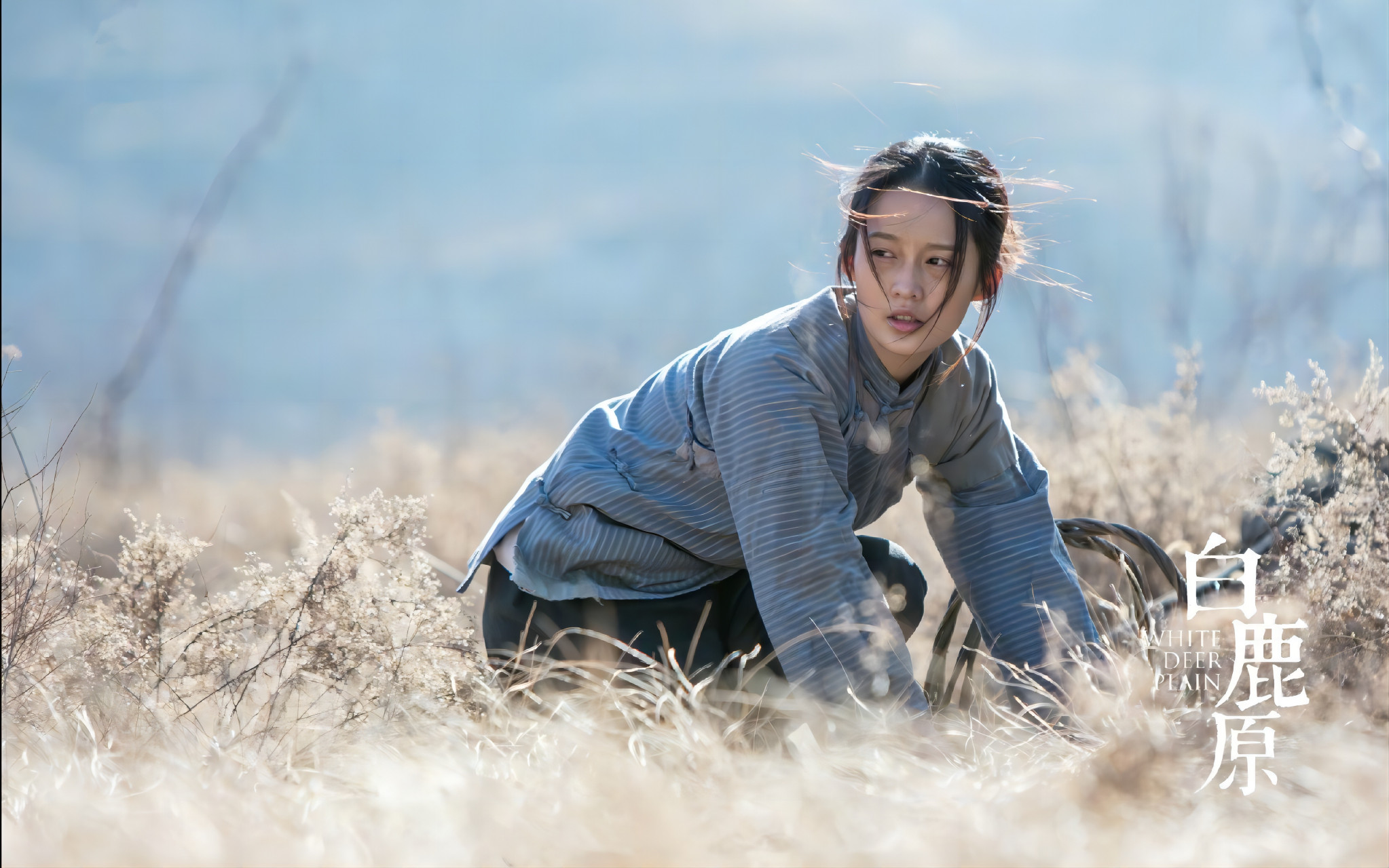 白鹿原# #白鹿原原著深度解读#  田小娥美貌妩媚,却被老秀才许配给