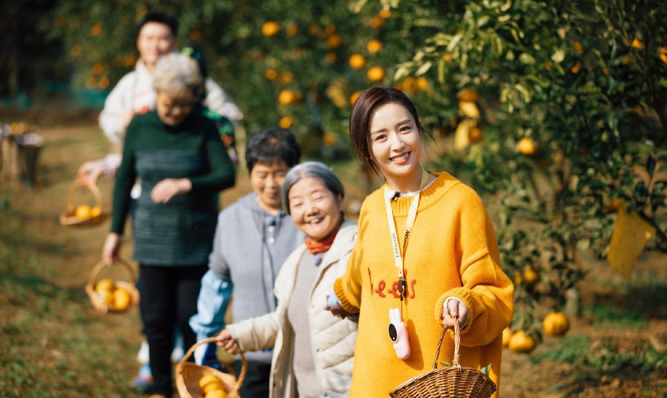 佟丽娅今日忘不了农场剧照