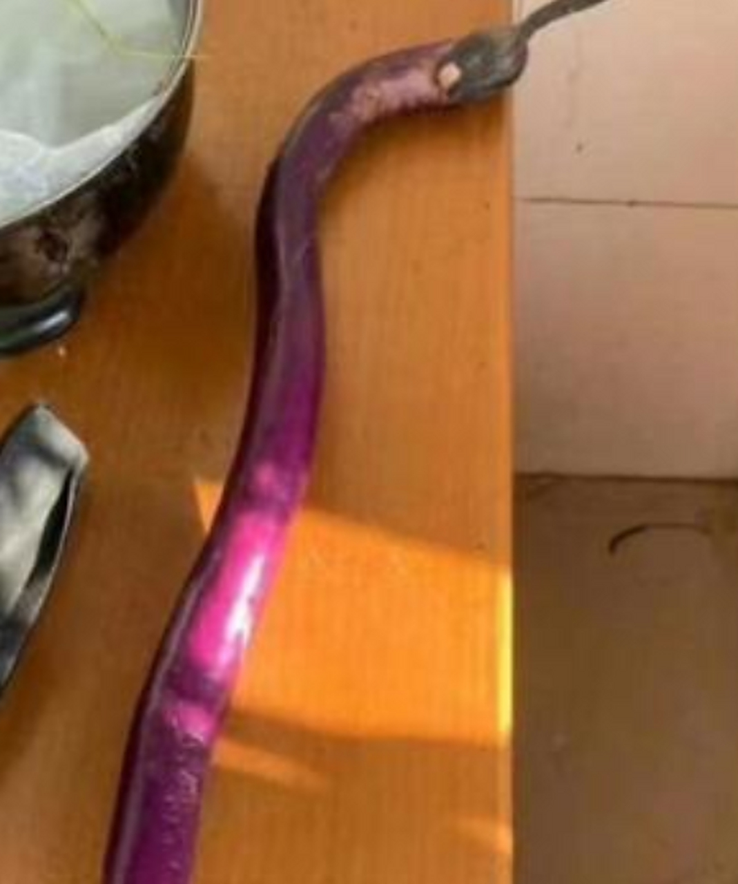 朋友给我炫耀她的巨型茄子,别说还真是惊吓住我了!