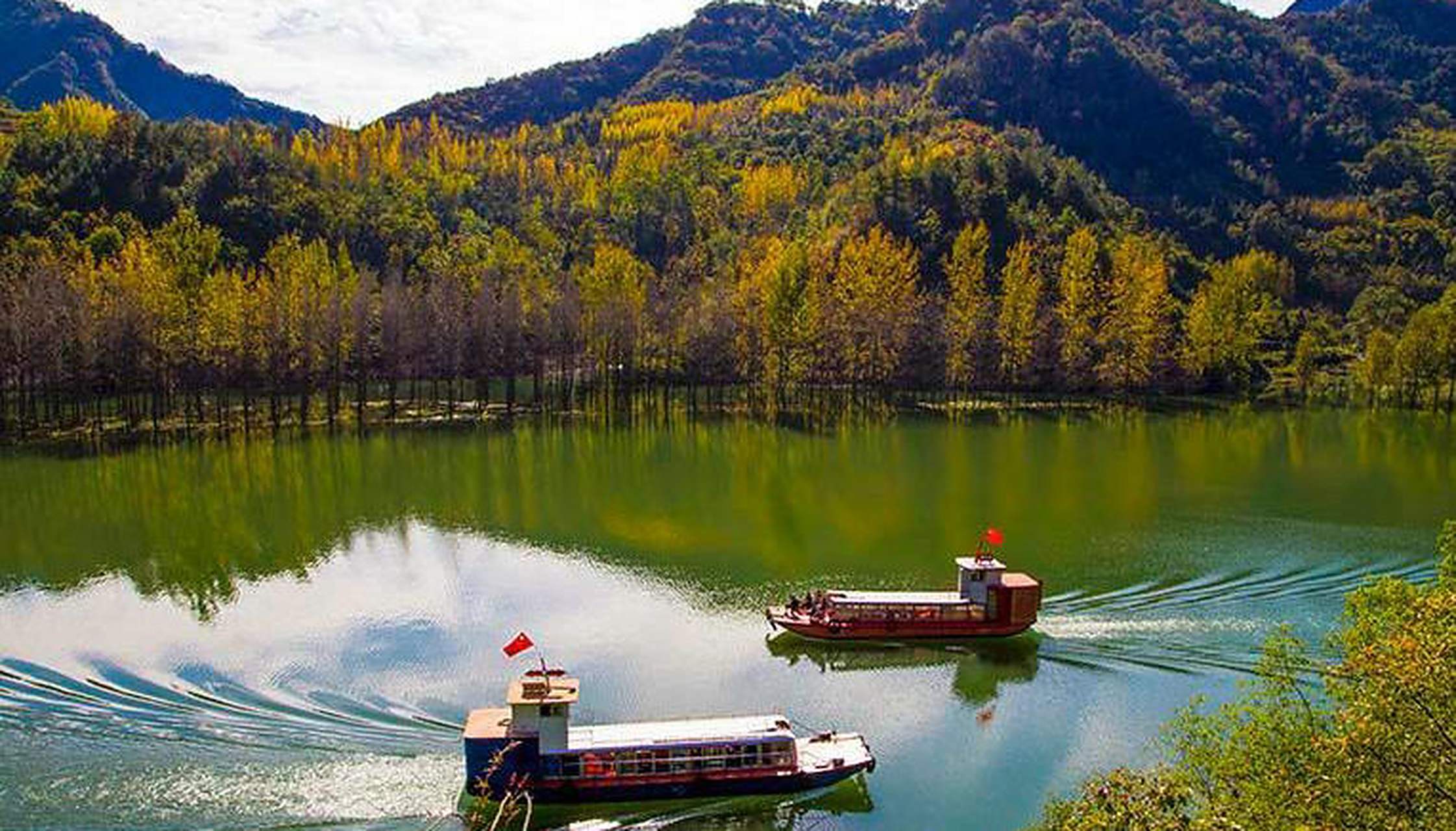 湖北省襄阳市谷城县,游船行驶在黄叶掩映的南河上,宛如画中游.