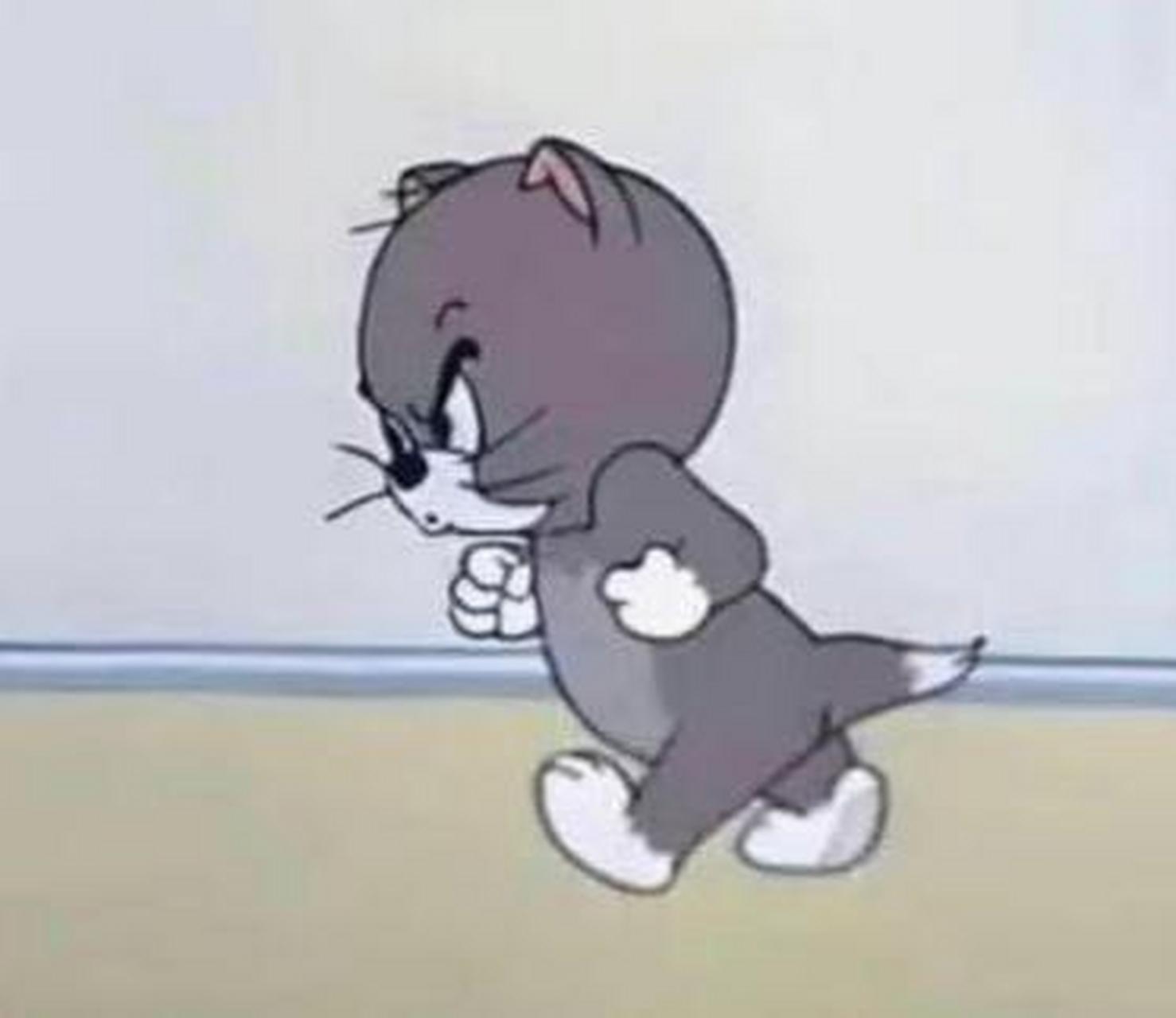 这猫和《猫和老鼠》里的小猫一模一样,忘了叫什么了[抠鼻]