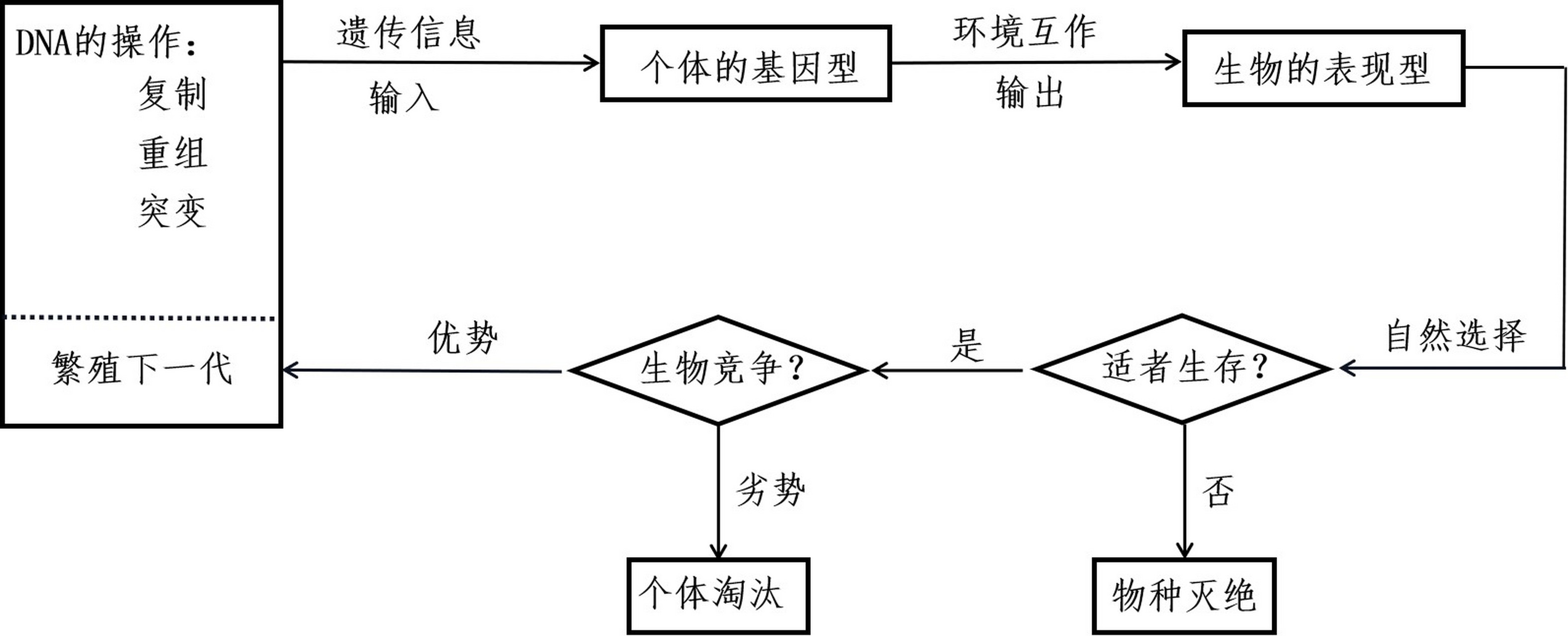 生物进化的模型 1859年,达尔文在《物种起源》一书中阐述了进化论