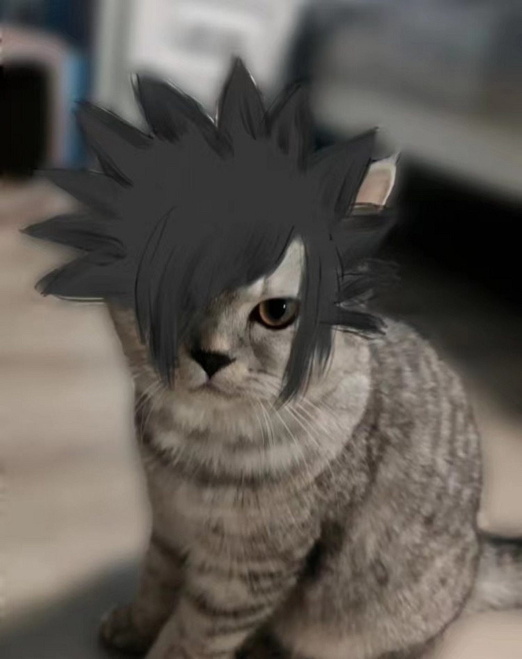 美国佬杀马特喵喵首秀,真的太可爱了呀~这气质在当年也是个数一数二的