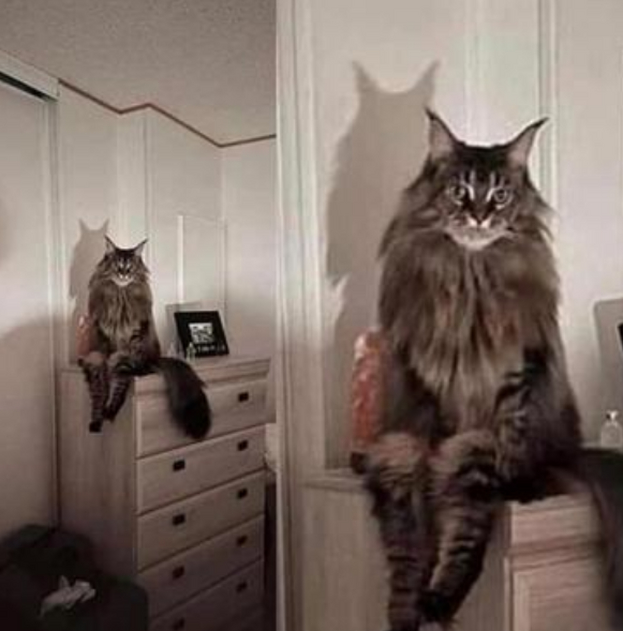 性感的大长腿,妖娆的坐姿