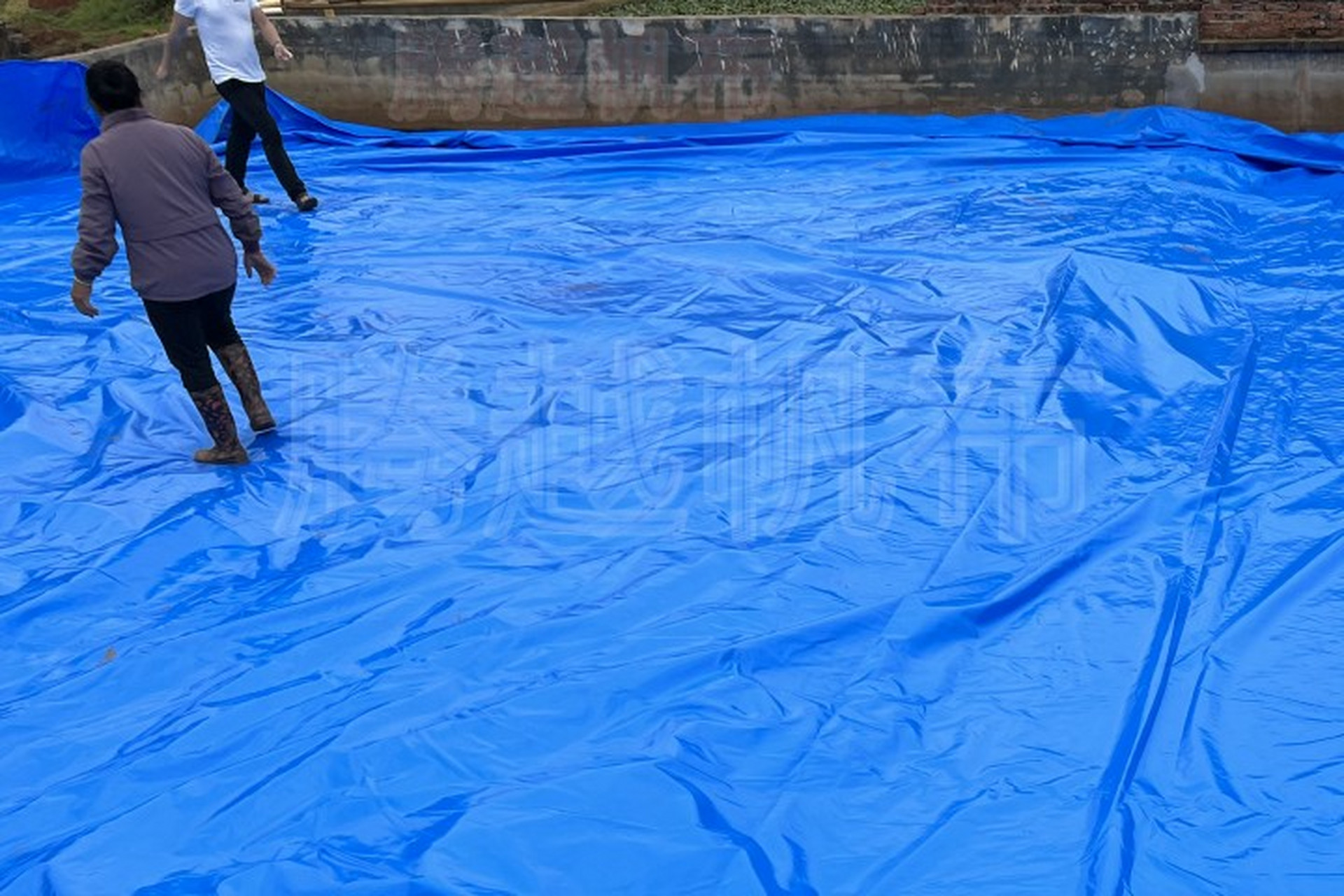 怎么用防水布做#鱼池# ,鱼池#防水# 布,#鱼塘# 专用防水布#防水# 效果