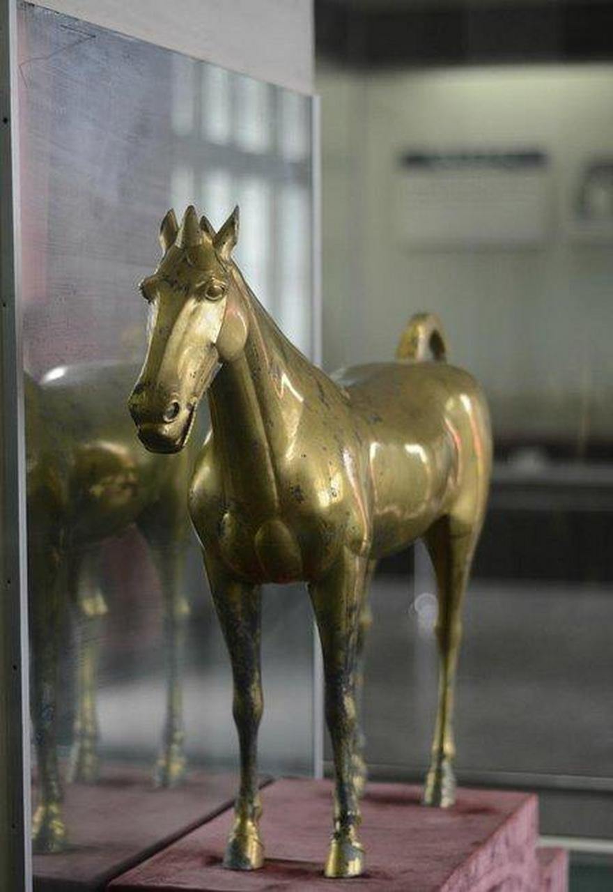 回到家的老高整天心不在焉,想着怎么把大金马带回来,心里也有