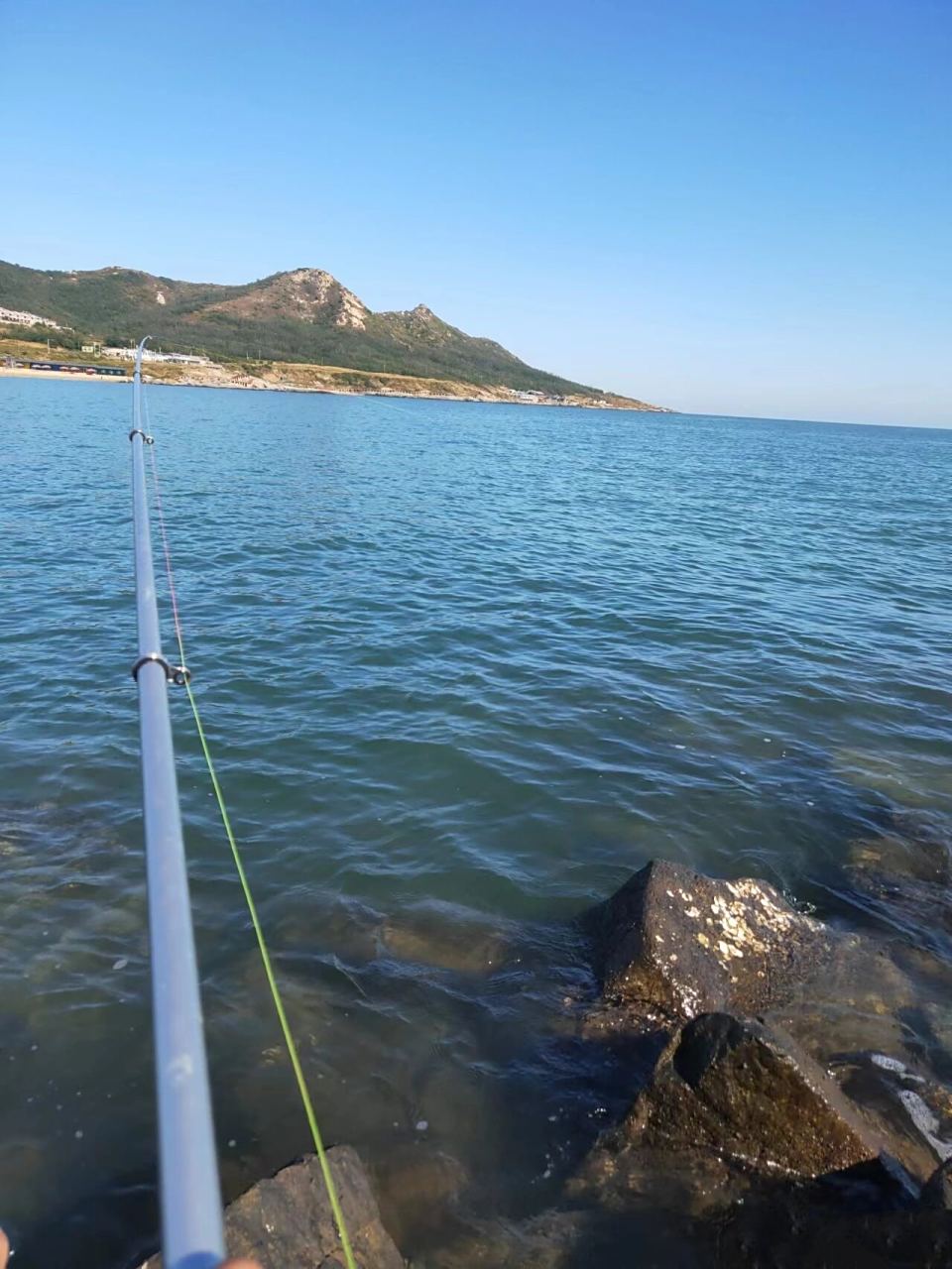 菊花岛旅游全攻略_菊花岛攻略旅游路线_菊花岛游玩攻略