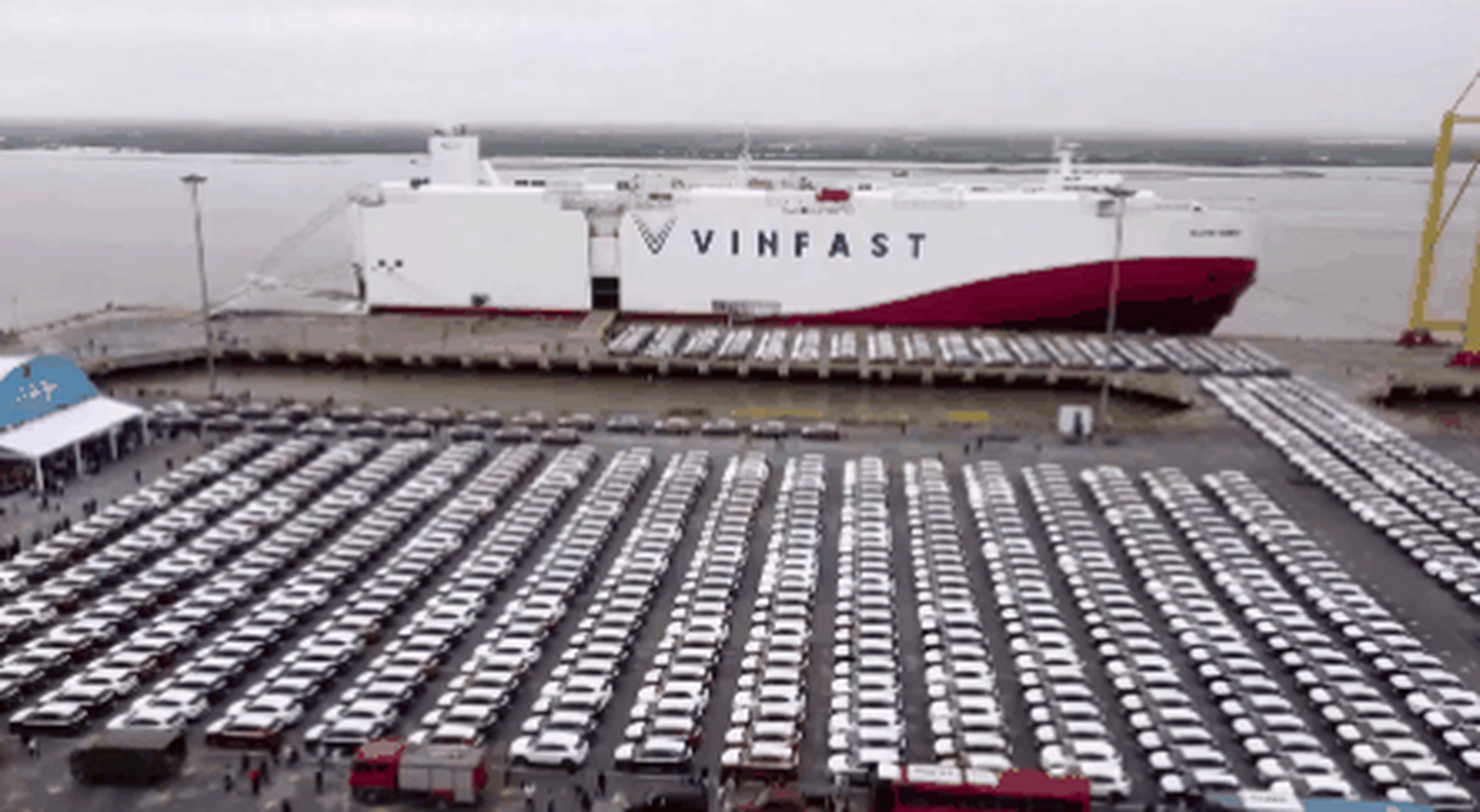 大量出口欧美市场!越南的这个电动汽车品牌真是不可小觑啊!