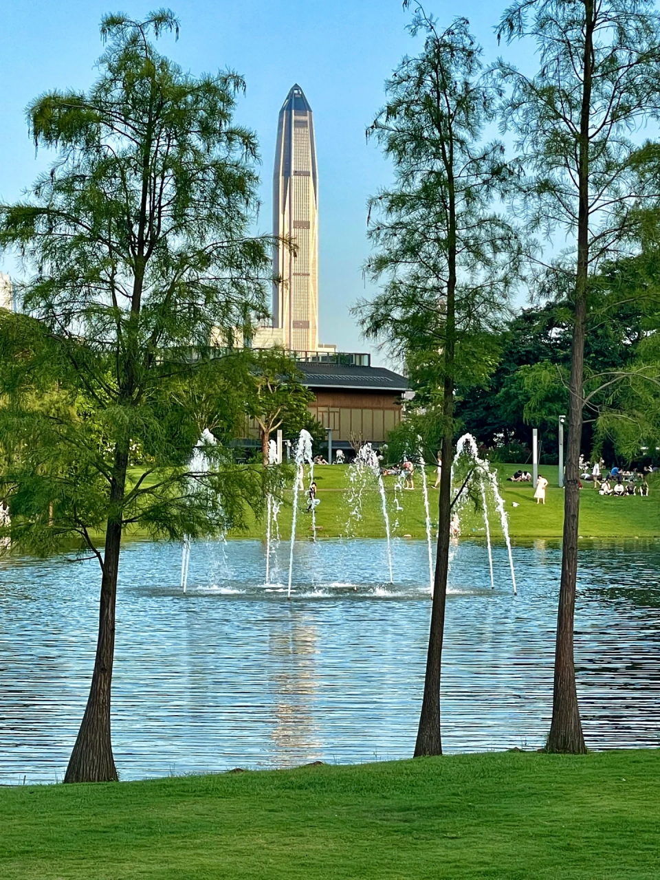 深圳香蜜公园  花海 喷泉真的不要太浪漫  香蜜公园7415最近的