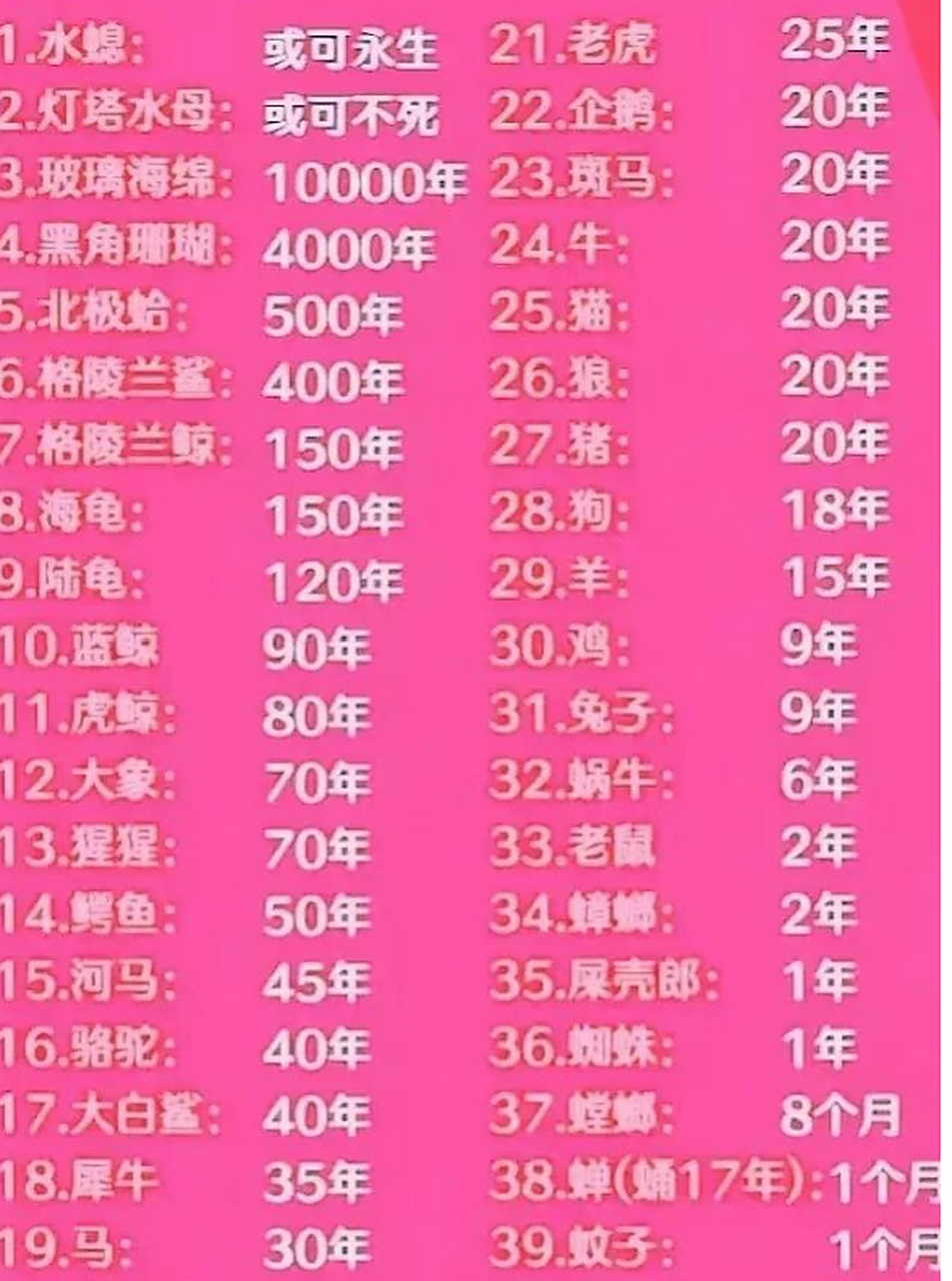 各类动物大概寿命.