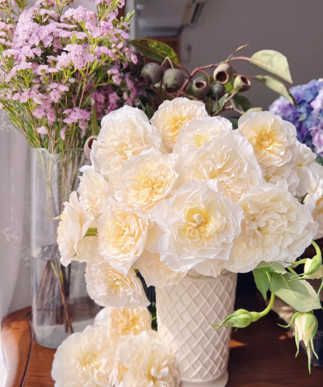 这种月季名叫"尤金妮",一个非常优秀的品种,株高仅1米迪,小灌木,也能