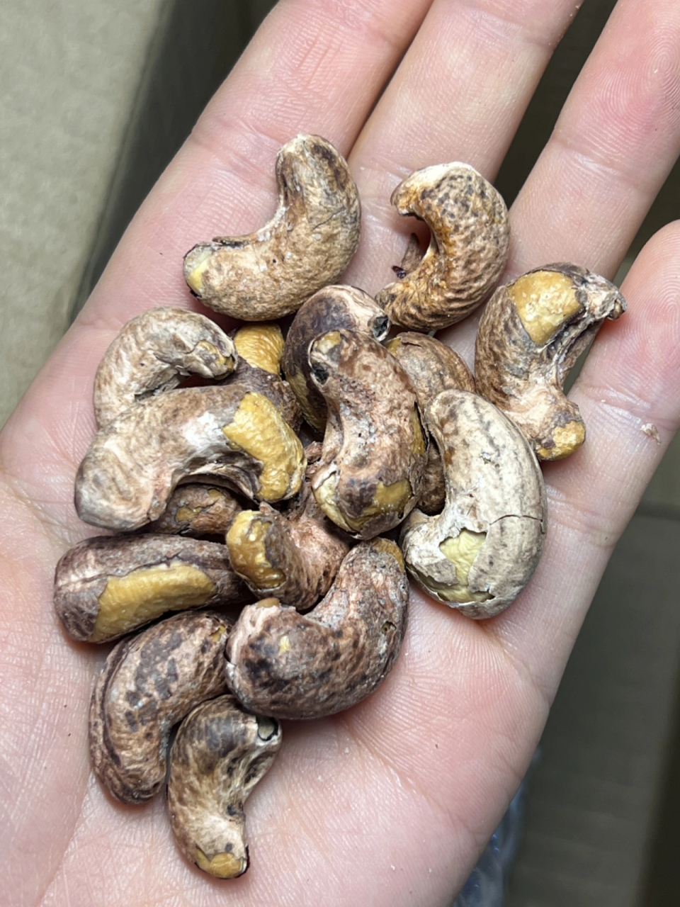 20多满满一大包的越南腰果!没有坏果,都很新鲜,配料也干净, 真香!