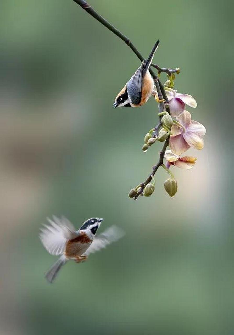 头条创作挑战赛#昨晚辅导孩子拼音chuang愣是给辅导哭了两次,一方面