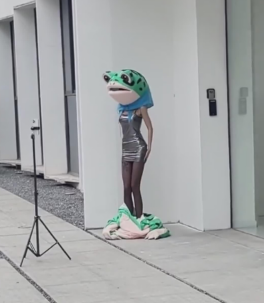青蛙变形记