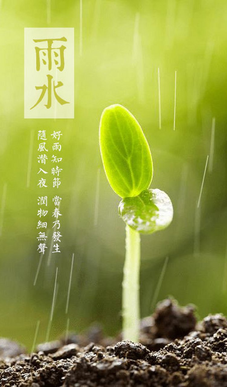 今日雨水节气,水是滋养万物的源泉, 以雨露施予万物.
