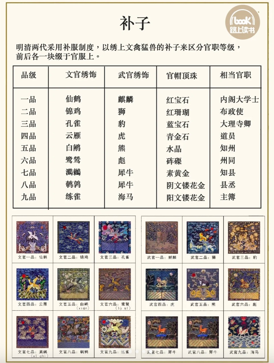 蝙蝠武兽令图片