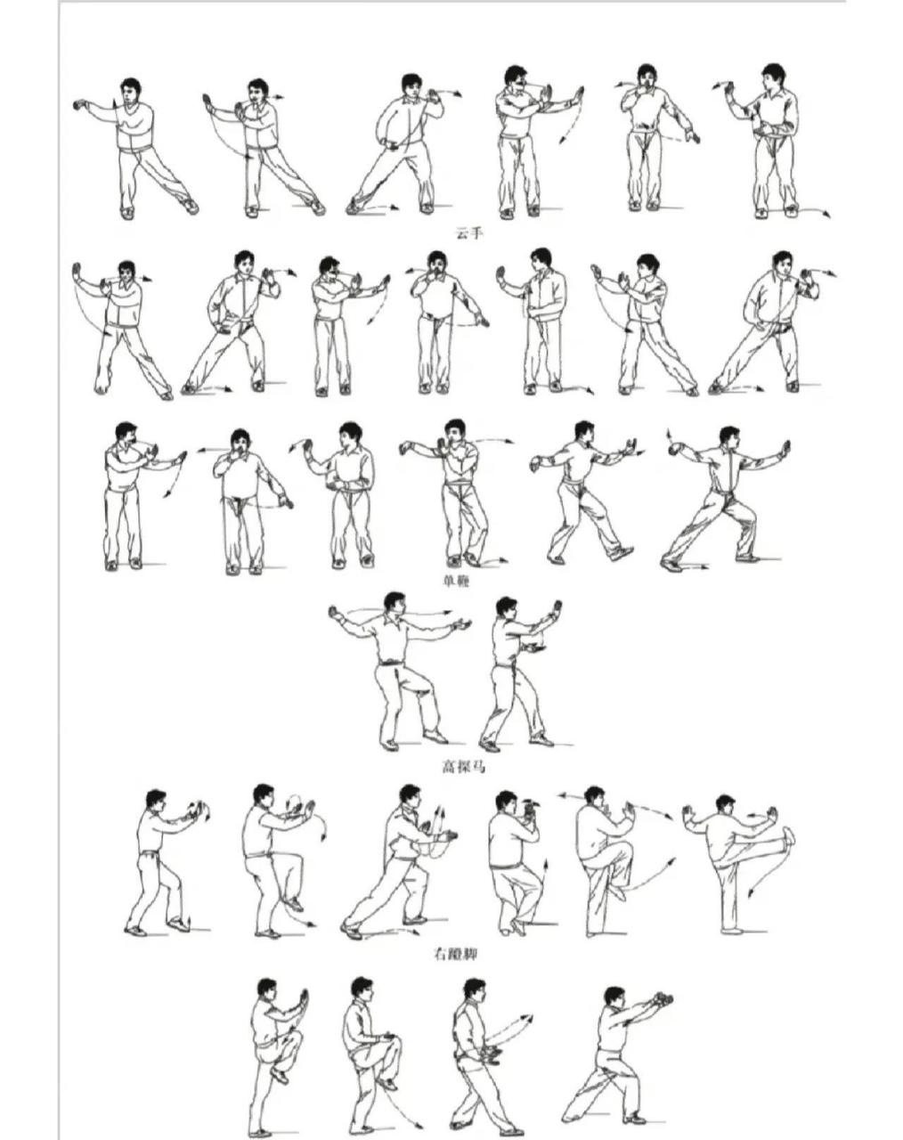 太极拳图解 二十四式图片