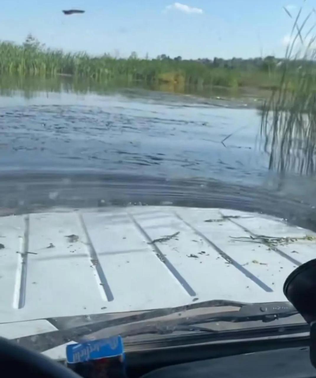 高德地图听林志玲口音的下场!