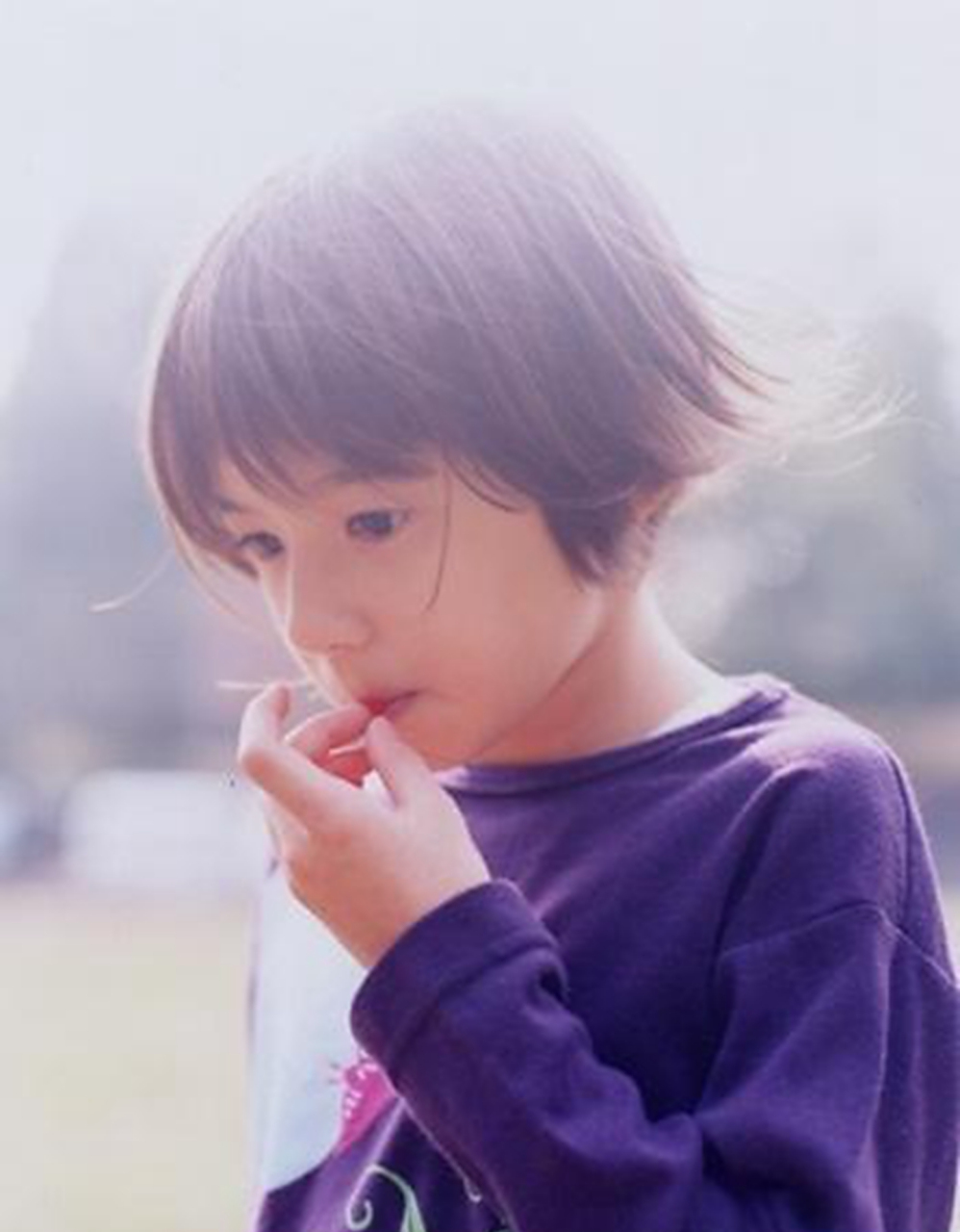 黑白太分明.——杜甫《花鸭》