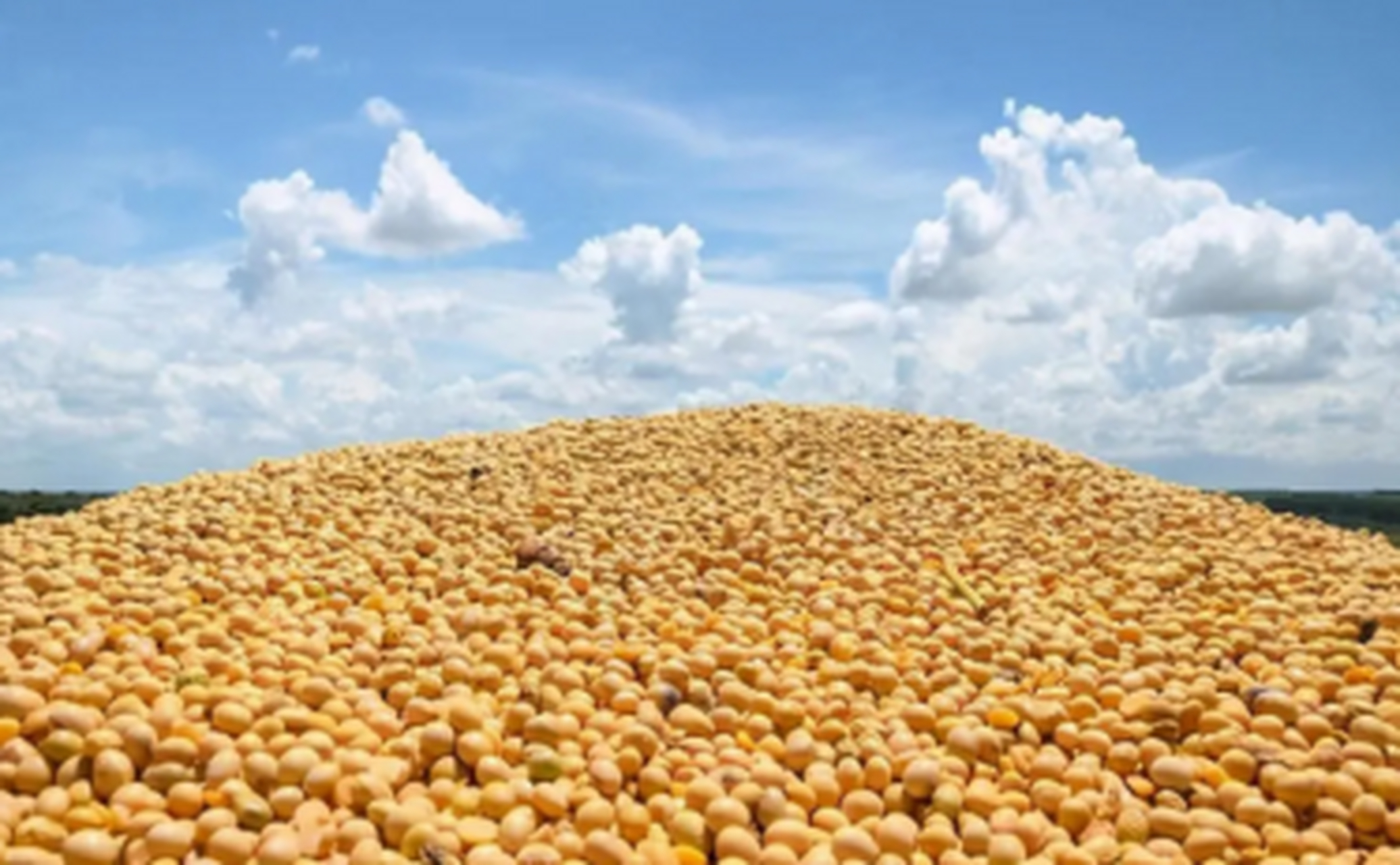 太解气了!中国进口224万吨巴西大豆,美国挑拨:哪有大国的样子 中国作